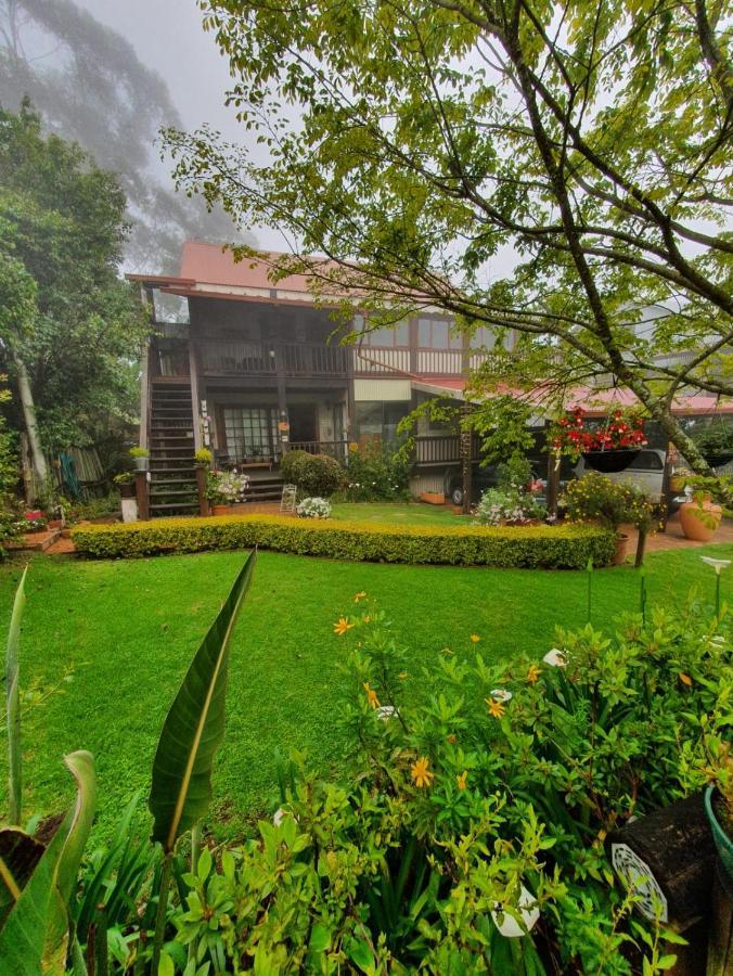 Kattekwaad Accommodation Kaapsehoop 外观 照片