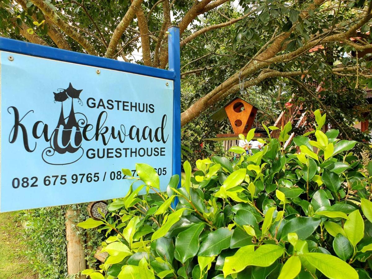 Kattekwaad Accommodation Kaapsehoop 外观 照片