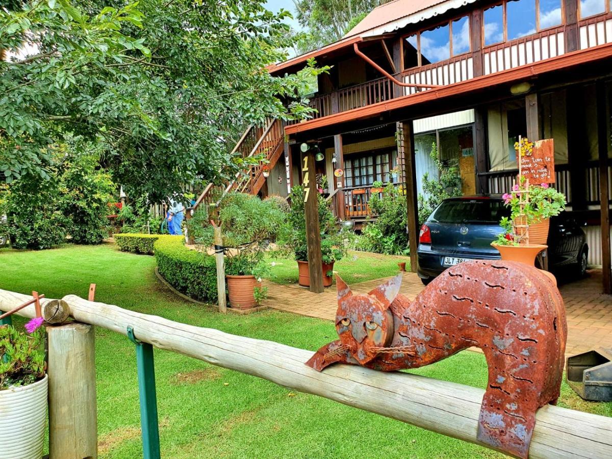 Kattekwaad Accommodation Kaapsehoop 外观 照片