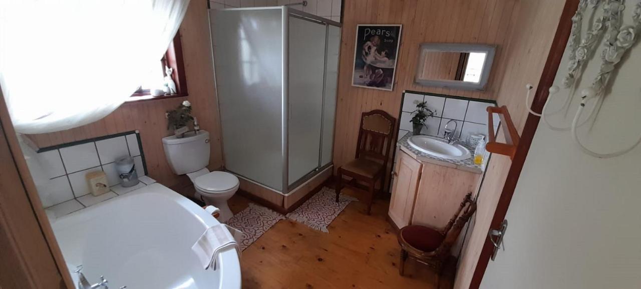 Kattekwaad Accommodation Kaapsehoop 外观 照片