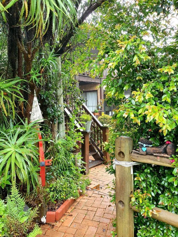 Kattekwaad Accommodation Kaapsehoop 外观 照片