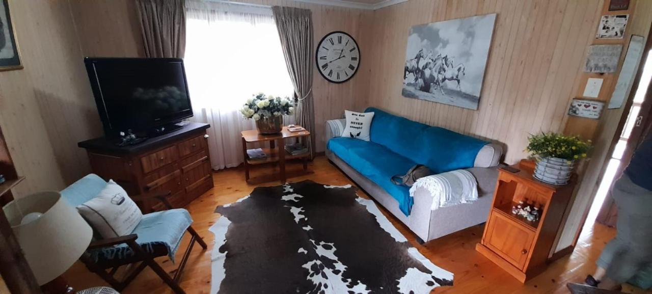 Kattekwaad Accommodation Kaapsehoop 外观 照片