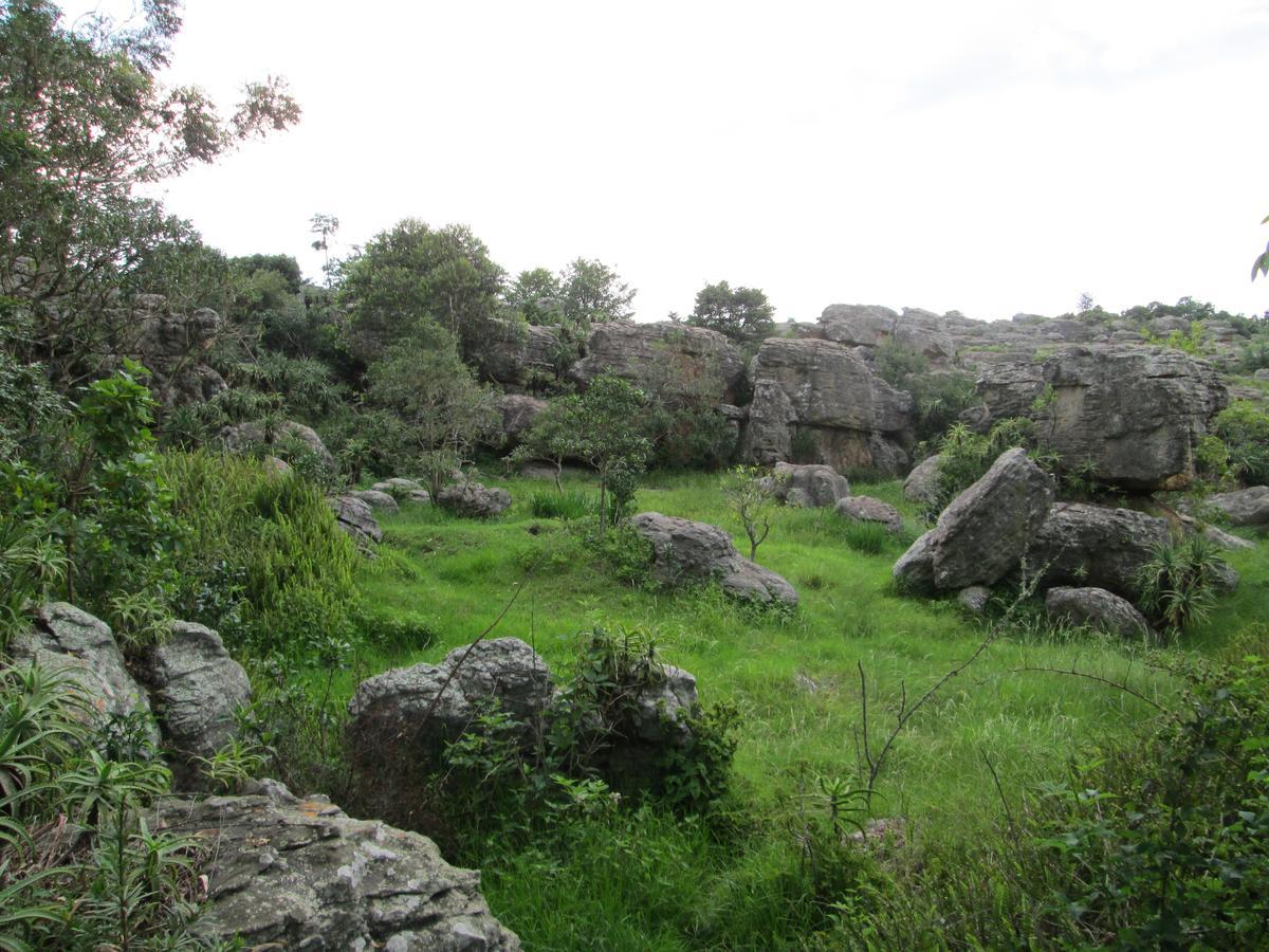 Kattekwaad Accommodation Kaapsehoop 外观 照片
