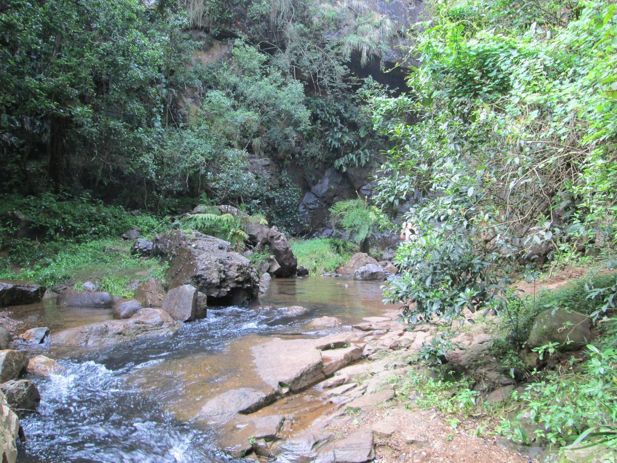 Kattekwaad Accommodation Kaapsehoop 外观 照片