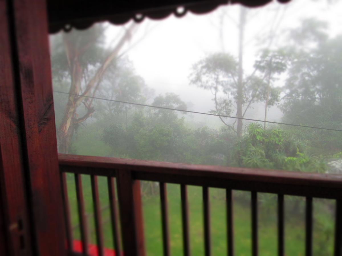 Kattekwaad Accommodation Kaapsehoop 外观 照片
